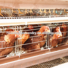 china popular good quality uganda layer farm chicken cage